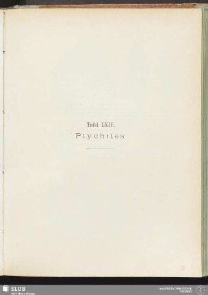 Tafel LXIV. Ptychites