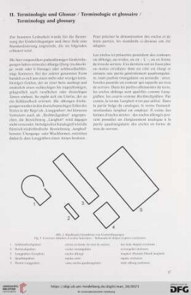 II. Terminologie und Glossar