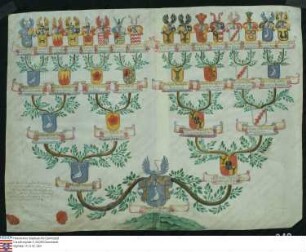 Ahnenprobe des Franz Carl August Löw v. z. u. Steinfurth. - ausgefertigt 1734 September 1, Pergament