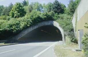 Tunnel Pfaffenstein, Nordportal