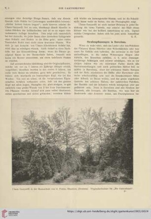 5: Straßenpflanzung in Barcelona