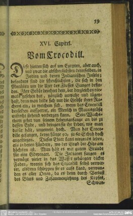 XVI. Capitel. Vom Crocodill