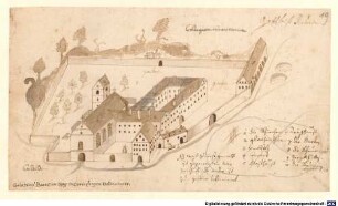 Abbildungen von Augustinerklöstern, Nr. 19: Augustinerchorherrnstift Riedern am Wald/BW - BSB Cod.icon. 207 m(19