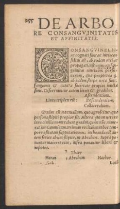 De Arbore Consanguinitatis Et Affinitatis.