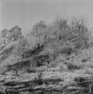 Schanze Kuckau : Kuckauer Schanze