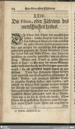 XXIV. Die Fibrae, oder Fäserlein des menschlichen Leibes