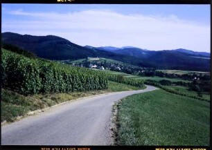 Ebringen: von der Straße nach Wittnau