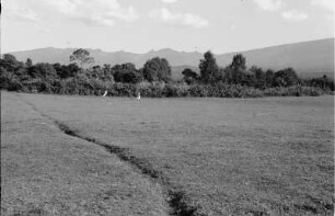 Landschaft : Personen in einer Landschaft