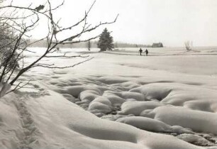 Altenberg (Erzgebirge). Feuchte Wiese dick verschneit in der Nähe der Galgenteiche