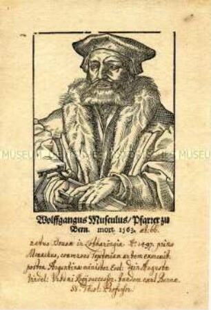 Porträt des Theologen Wolfgang Musculus
