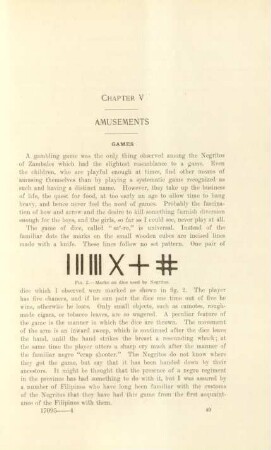 Chapter V. Amusements