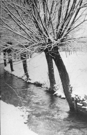 Wilsdruff-Blankenstein. Ober- oder Krillemühle, Mühlgraben? Repro