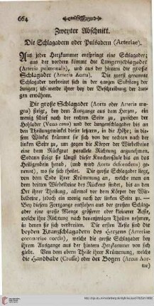 Zweyter Abschnitt: Die Schlagadern oder Pulsadern (Arteriae)