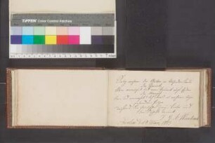 Einträge Bl. 21 - 42