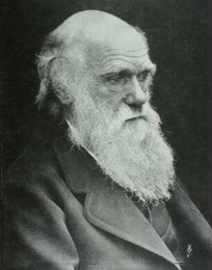 Charles Darwin : Reproduktion Porträt Charles Darwin aus der Akademie der Künste