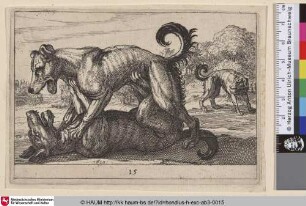 [Zwei kämpfende Hunde; Two Dogs Fighting]