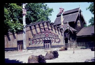 Zoo Bisons 9.6.62.