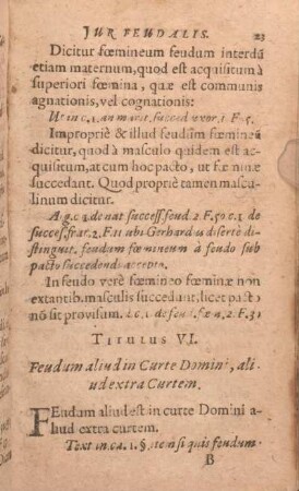 Titulus VI. Feudum aliud in curte Domini ahud extra curtem.