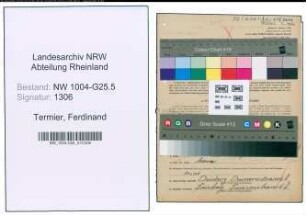 Entnazifizierung Ferdinand Termier , geb. 12.05.1907 (Malermeister)