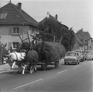 Landwirtschaft in Berghausen.