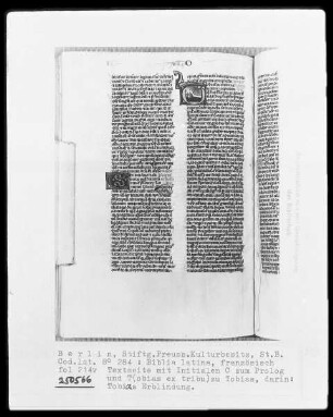 Biblia latina — Initiale T (obias ex tribu), darin Tobias Erblindung, Folio 214verso