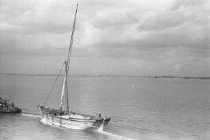 Ein Segelboot : Blick auf ein Segelboot.