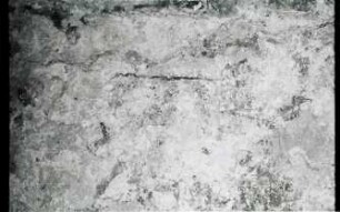 Chakalal, Jaguar Mural (CLL: Mrl.)