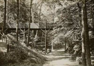 Dresden, Holzbrücke im Kurpark Weißer Hirsch