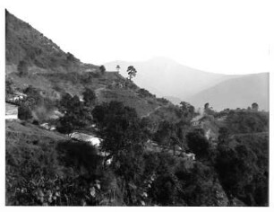 Darjeeling, Indien. Berglandschaft auf dem Weg nach Darjeeling