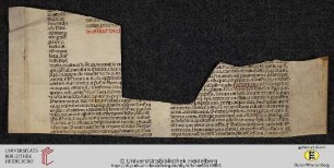 Kirchenrechtliche Schrift (Fragment)