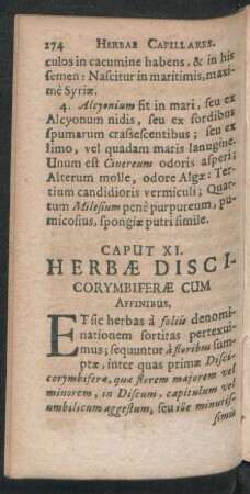 Caput XI. Herbae Discicorymbiferae Cum Affinibus.