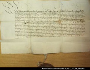 Landgraf Wilhelm von Hessen bestätigt dem Grafen Erich von Hoya die Vormundschaft über die Gräfin Walburg von Rietberg Ausstellungsort: Kassel Anhängendes Siegel erhalten; Unterschrift