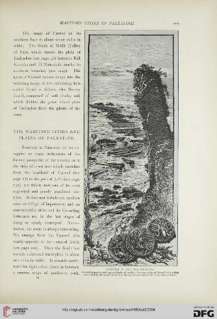 The maritime cities and plains of Palestine