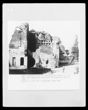 Domus Severiana