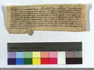 Bischof Gebhard von Brandenburg gewährt allen, die die Elisabethkirche und die Elisabethkapelle in Marburg besuchen und beschenken, einen 40tägige...