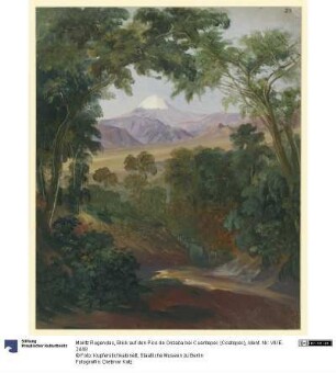 Blick auf den Pico de Orizaba bei Cuantepec (Coatopec)