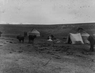 Expeditionslager : Ein Lager der Expedition im Tian Shan Hochgebirge