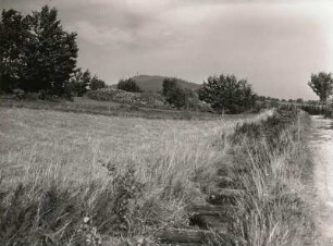 Erzgebirge. Der Aschergraben bei Altenberg. Im Hintergrund der Geisingberg