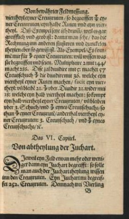 Das VI. Capitel. Von abtheylung der Juchart.