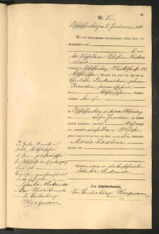 Standesamtsbuch der Stadt Aschaffenburg: Geburten 365/1900 - 184/1901