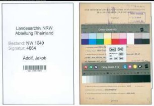 Entnazifizierung Jakob Adolf , geb. 10.10.1894 (Technischer Angestellter)