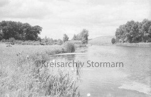 Reinbek: Mühlenteich: rechts Weide mit Rindern: hinten Mitte Gebäude und Steg: hinten Bäume und Wiese