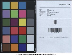Johannes Strauchius, Phil. Et I. U. D. Facultatis Iuridicae H. T. Decanus S. P. D. : Praeclara Icti Florentini dicam, an ipsius divini Numinis vox est: ... P. P. X. Novembris, Anno MDCLV.
