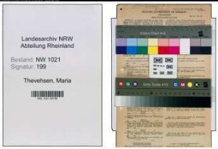 Entnazifizierung Maria Thevehsen , geb. 21.01.1899 (Stenopypistin)