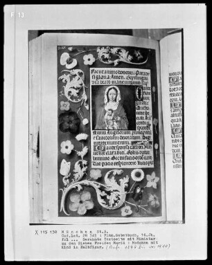 Flämisches Gebetbuch — Madonna mit Kind