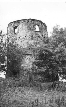 Vysoký (Hohenwald). Holländermühle, Ruine