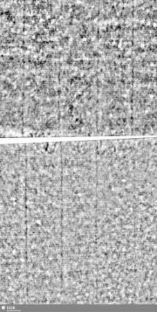 Lilienschild + IESV / LW = Bd.1., S.3/4+143/144
