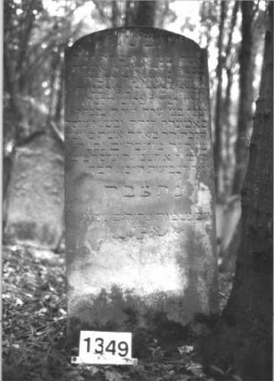 Grabstein 1349 (Index: 99900258) Material: Sandstein Zustand: leicht verwittert Beschreibung: Stele mit eingezogenem Rundbogenabschluss Besonderheit: keine Maßangaben: Grabstein 1349