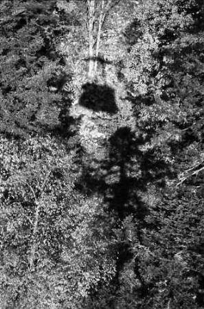Schauinslandbahn: Schatten der Kabine im Wald
