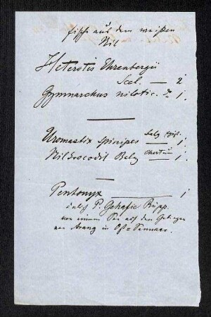 Handschriftliche Liste vom weißen Nil
